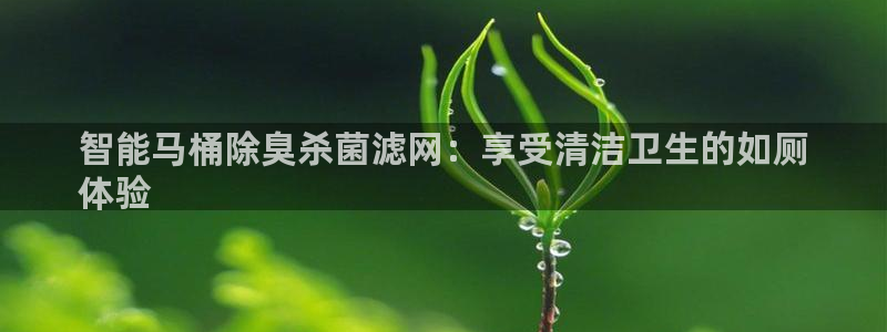 凯时kb88官方：智能马桶除臭杀菌滤网：享受清洁卫生的如